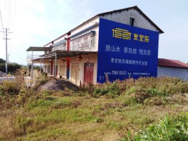 隆林必须知道的墙体广告形势