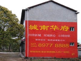 隆林百分之90的人都不了解的农村墙体广告