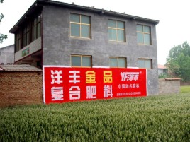 隆林如何让墙体广告展现最大化效果