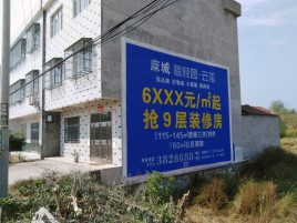隆林墙体广告质量分析