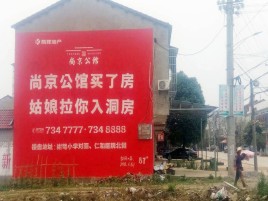 隆林墙体广告在乡镇、农村市场的媒体优势