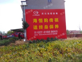 隆林墙体广告影响褪色的因素
