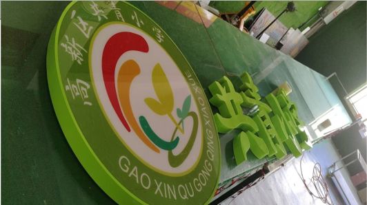 隆林常见的发光字类型