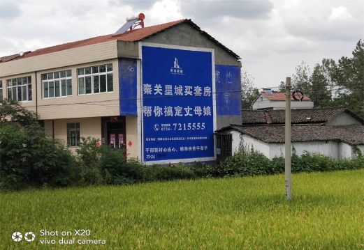 隆林决定墙体广告价格的因素有哪些?