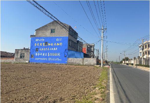 隆林墙体广告用的是什么漆？