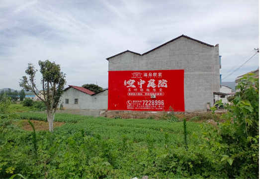 隆林做墙体广告的意义