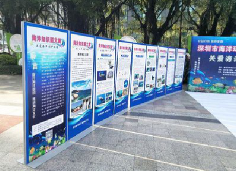 隆林KT板的种类和知识。